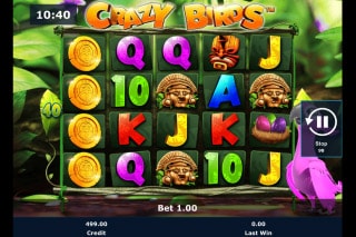 Crazy Birds Mobile Slot Machine