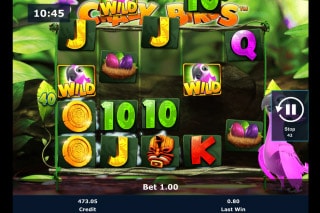 Crazy Birds Mobile Slot Cascading Wins