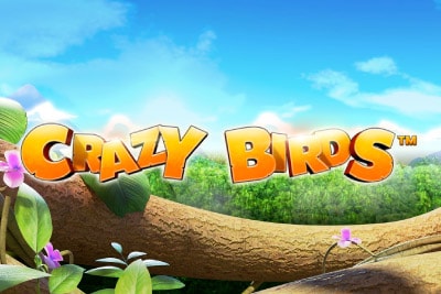 Crazy Birds Mobile Slot Logo