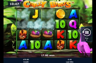 Crazy Birds Mobile Slot Win