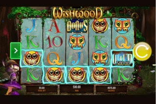 IGT Wishwood Slot Win