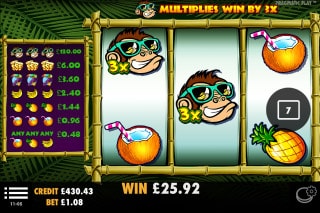 Monkey Madness Slot Multipliers