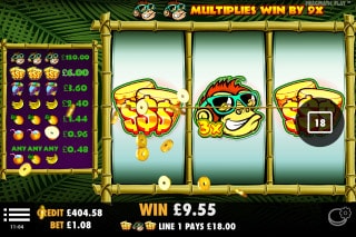 Monkey Madness Slot Win