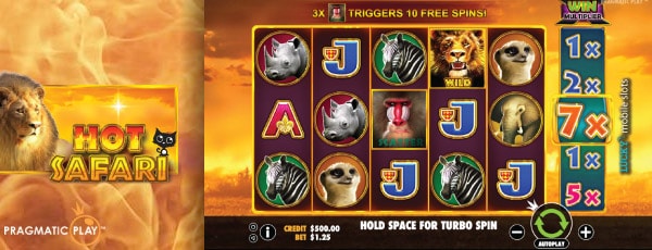 Pragamatic Play Hot Safari Slot Machine