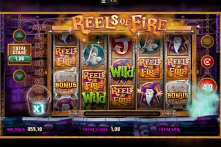 Reels of Fire Slot Wilds