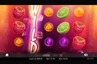 Berryburst Slot Wild