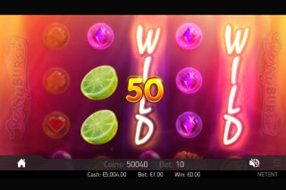 Berryburst Slot Wild