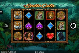 Exotic Cats Mobile Slot Game