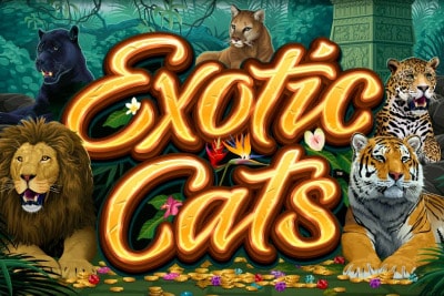 Exotic Cats Mobile Slot Logo