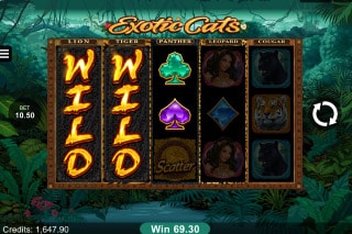 Exotic Cats Mobile Slot Wilds
