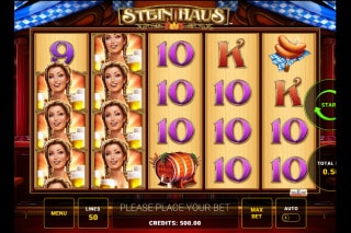 Stein Haus Mobile Slot Machine