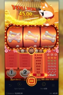 Win Win Won Mobile Slot Win