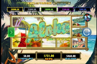 Wheel of Fortune Hawaiian Getaway Slot Game Jumbo Symbol