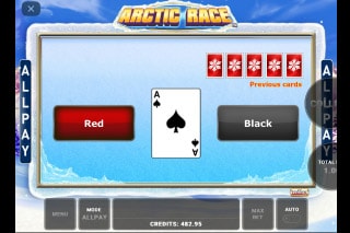 Arctic Race Slot Gamble Feature