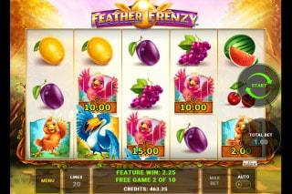 Feather Frenzy Slot Free Spins Win