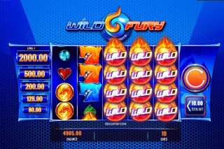 Wild Fury Slot Wilds