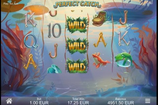 Prefect Catch Slot Wilds
