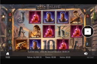Dead Or Alive 2 Mobile Slot Machine