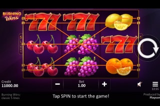 Burning Wins Classic 5 Lines Mobile Slot Game