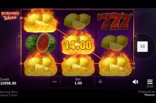Burning Wins Classic 5 Lines Slot Win