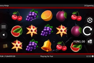 Ninja Fruits - Slot review