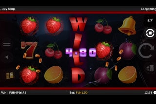 Fruit Ninja #slots #lowbet #casino #Tampa #fruitninja