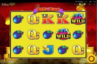 Reel King Mega Slot Reels