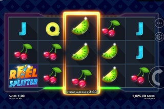 Reel Splitter Slot Reel Win
