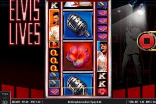 Elvis Lives Slot Reels & Symbols
