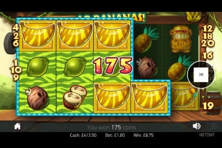 Go Bananas!™ Slot Machine Game to Play Free