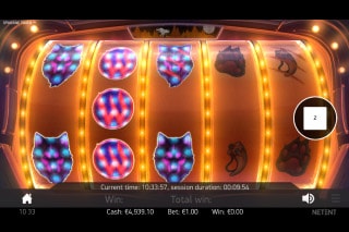 Spinsane Slot Bonus Feature