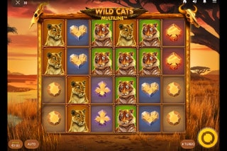 Wild Cats Multiline Mobile Slot Game