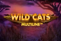 Wild Cats Multiline Mobile Slot Logo