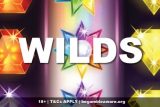 Slots Wilds & Their Types