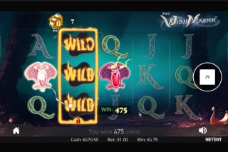The Wish Master Slot Wilds