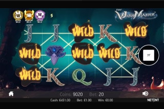The Wish Master Slot Win