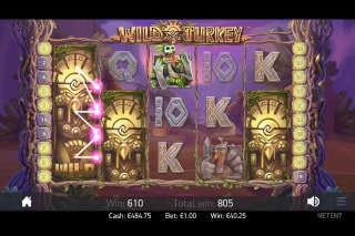 Wild Turkey Slot Free Spins Bonus
