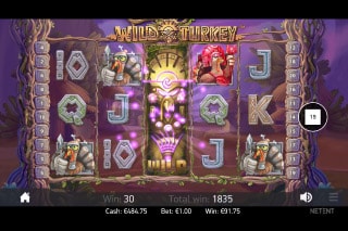 Wild Turkey Slot Wilds