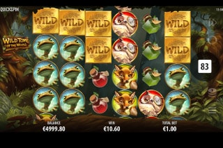 Wild Tome of the Woods Slot With Stacked Symbols