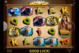 Amazon Lady Mobile Slot Machine
