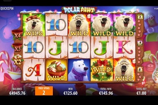 Polar Paws Slot With Wilds