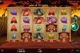 African Quest Mobile Slot Game