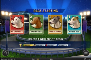 Wildhound Derby Slot Dog Pick