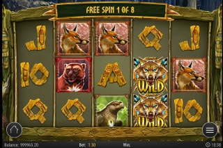Coywolf Cash Slot Free Spins Bonus