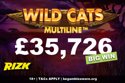 Wild Cats Multiline Slot Big Win UK