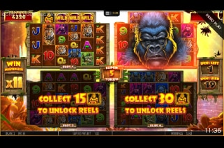 Gorilla Gold Megaways Slot Spins With Multiplier