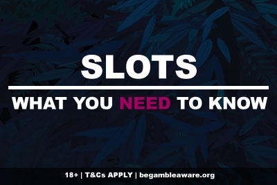 Things You Should Know Before Playing A New Slot Game