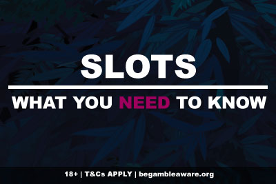 Slots What You Need To Know Before Playing