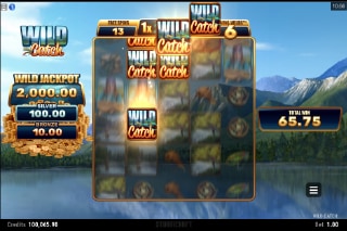 Wild Catch Slot Free Spins Win