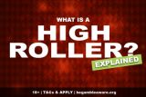What Is A Casino High Roller Explained